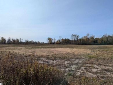 Beach Acreage For Sale in Au Gres, Michigan