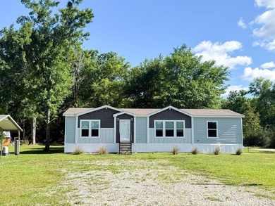 Beach Home For Sale in Wewahitchka, Florida