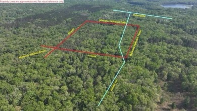 Beach Acreage For Sale in Free Soil, Michigan