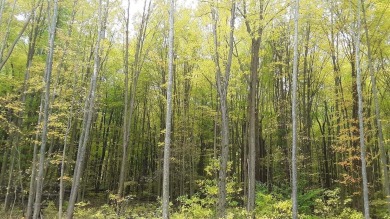 Beach Acreage Sale Pending in Michigan City, Indiana