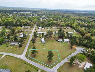 Beach Lot For Sale in Wewahitchka, Florida