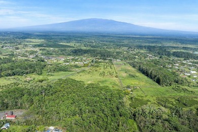 Beach Acreage For Sale in Kurtistown, Hawaii