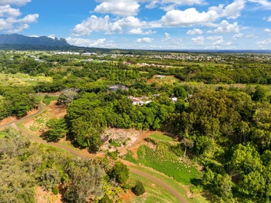 Beach Acreage For Sale in Kapaa, Hawaii