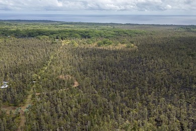 Beach Acreage For Sale in Pahoa, Hawaii