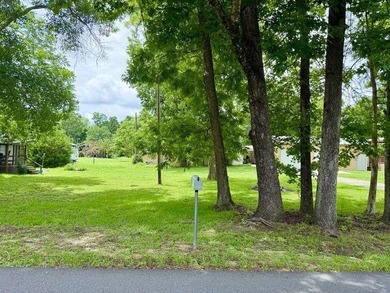 Beach Lot For Sale in Wewahitchka, Florida