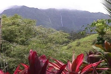 Beach Lot For Sale in Kapaa, Hawaii