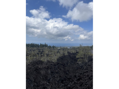 Beach Lot For Sale in Ocean View, Hawaii