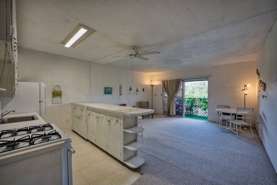 Beach Condo For Sale in Hilo, Hawaii