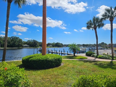 Beach Condo For Sale in Tampa, Florida