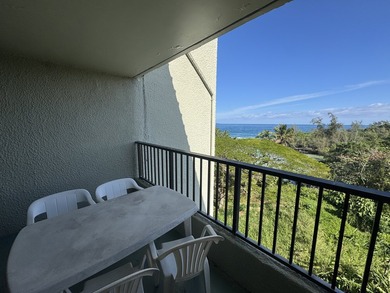 Beach Condo For Sale in Hilo, Hawaii