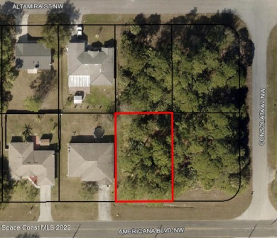 Beach Lot Off Market in Palm Bay, Florida