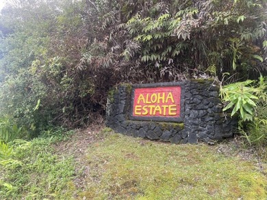 Beach Lot For Sale in Mountain View, Hawaii