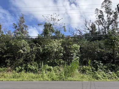 Beach Lot For Sale in Pahoa, Hawaii