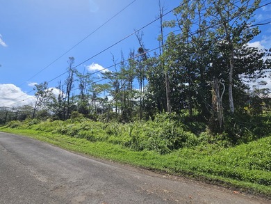 Beach Lot For Sale in Keaau, Hawaii