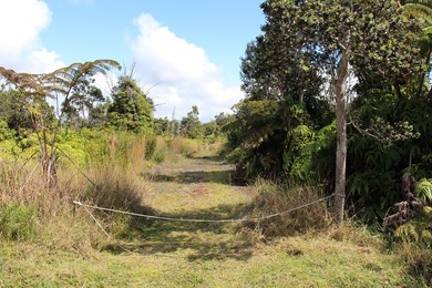 Beach Lot For Sale in Volcano, Hawaii