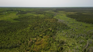 Beach Acreage For Sale in Gulliver, Michigan