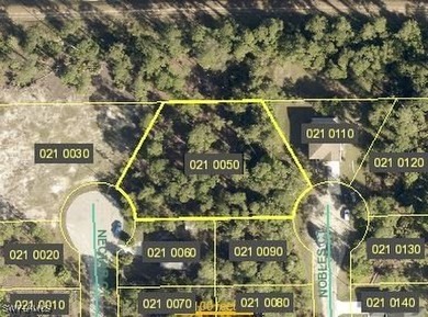Beach Lot For Sale in Lehigh Acres, Florida