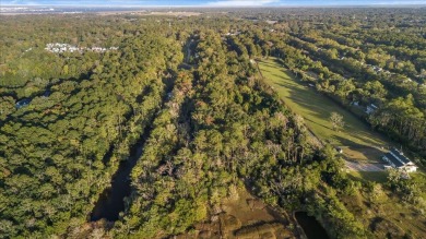 Beach Lot For Sale in Charleston, South Carolina