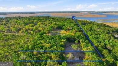 Beach Home For Sale in Shellman Bluff, Georgia