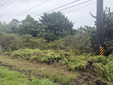 Beach Acreage Active Under Contract in Pahoa, Hawaii