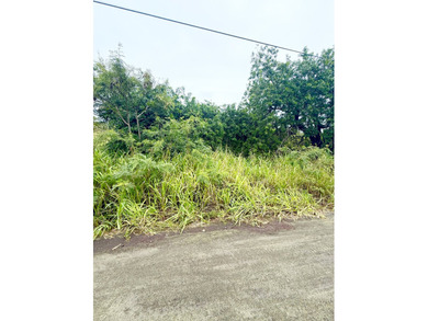 Beach Lot For Sale in Naalehu, Hawaii