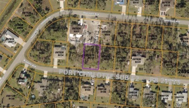 Beach Lot Sale Pending in North Port, Florida