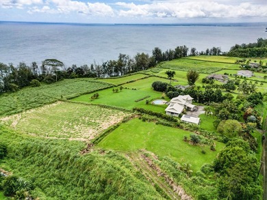 Beach Acreage For Sale in Pepeekeo, Hawaii