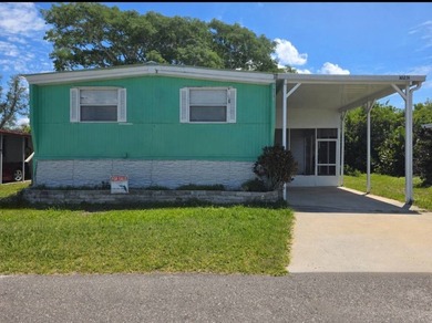 Beach Home For Sale in St. Petersburg, Florida