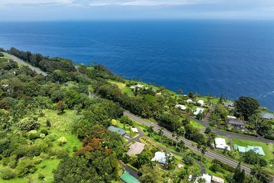 Beach Home For Sale in Laupahoehoe, Hawaii