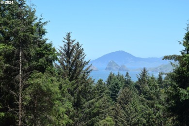 Beach Lot For Sale in Gold Beach, Oregon