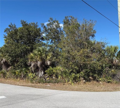 Beach Lot For Sale in Port Charlotte, Florida