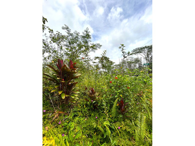 Beach Lot For Sale in Pahoa, Hawaii