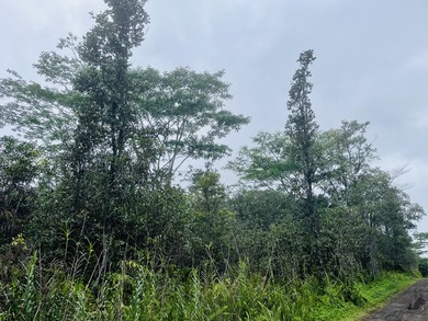 Beach Acreage For Sale in Kurtistown, Hawaii