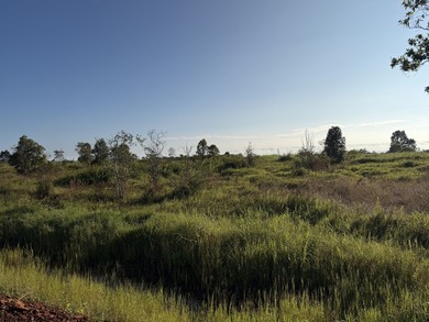 Beach Acreage For Sale in Mountain View, Hawaii