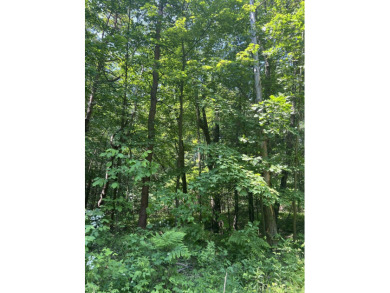 Beach Acreage For Sale in West Olive, Michigan