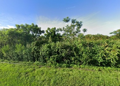 Beach Lot For Sale in Port Saint Lucie, Florida