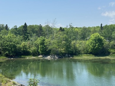 Beach Lot For Sale in Deer Isle, Maine