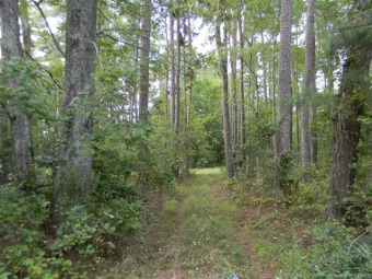 Beach Lot Off Market in Hayes, Virginia