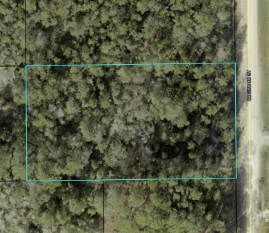 Beach Lot For Sale in Bunnell, Florida