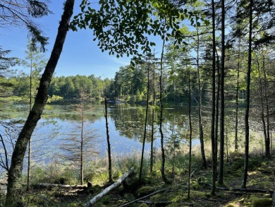 Beach Acreage For Sale in Mount Desert, Maine