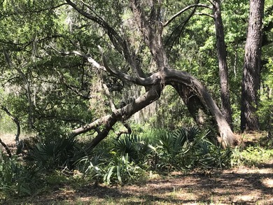 Beach Acreage For Sale in Johns Island, South Carolina