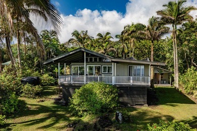 Beach Home For Sale in Pahoa, Hawaii