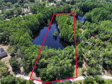 Beach Acreage For Sale in Land O Lakes, Florida