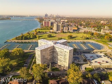 Beach Condo For Sale in Detroit, Michigan
