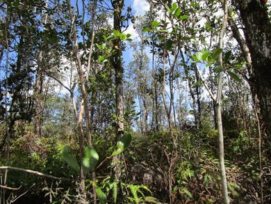 Beach Acreage For Sale in Kurtistown, Hawaii