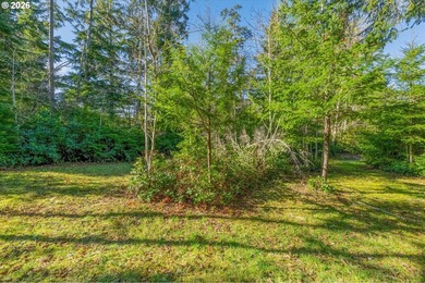 Beach Lot For Sale in Ocean Park, Washington