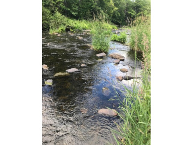 Beach Acreage Off Market in Belfast, Maine