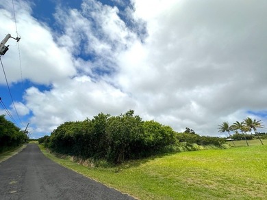 Beach Lot For Sale in Naalehu, Hawaii