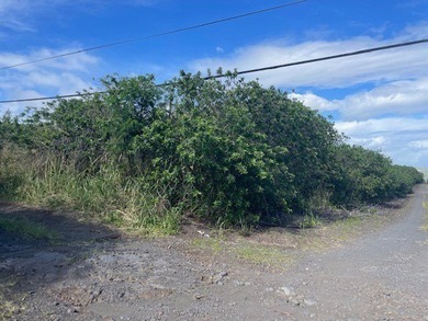 Beach Lot For Sale in Naalehu, Hawaii