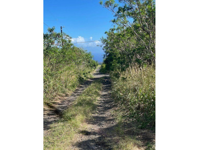 Beach Lot For Sale in Naalehu, Hawaii